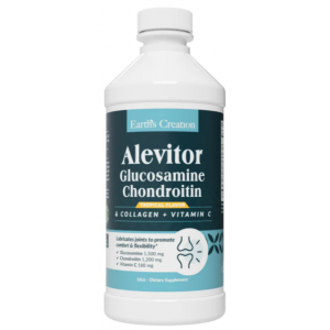 Liquid Glucosamine, Chondrotin + Vit C - 480 мл Фото №1